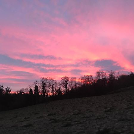 Forest View - Castlewellan, County Down 贝尔法斯特 外观 照片