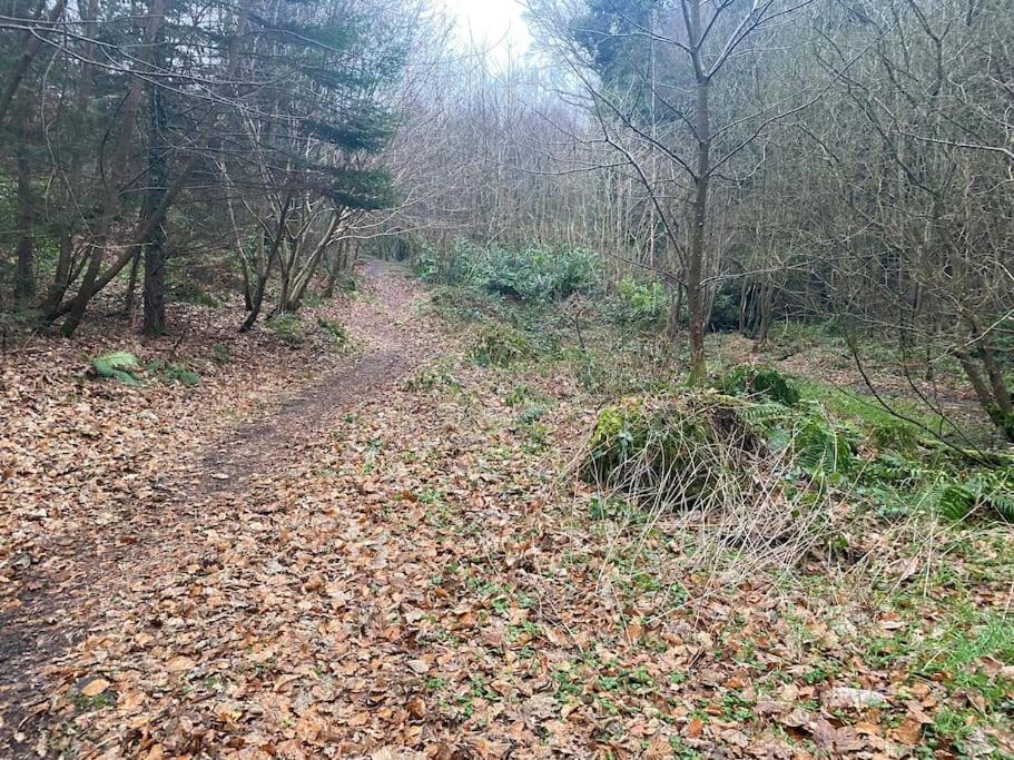 Forest View - Castlewellan, County Down 贝尔法斯特 外观 照片