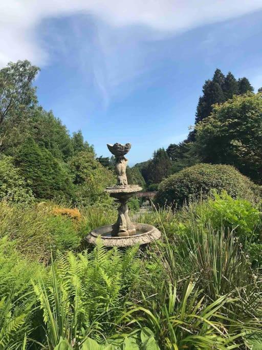 Forest View - Castlewellan, County Down 贝尔法斯特 外观 照片