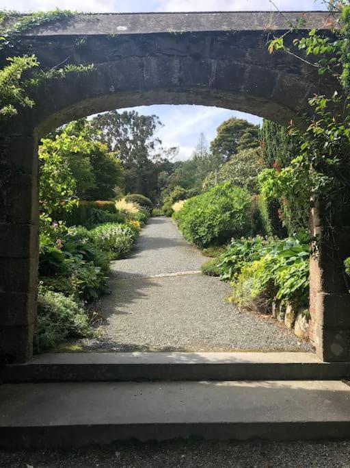 Forest View - Castlewellan, County Down 贝尔法斯特 外观 照片