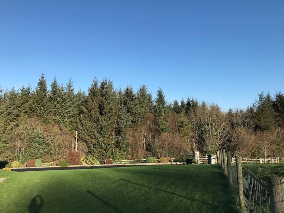Forest View - Castlewellan, County Down 贝尔法斯特 外观 照片