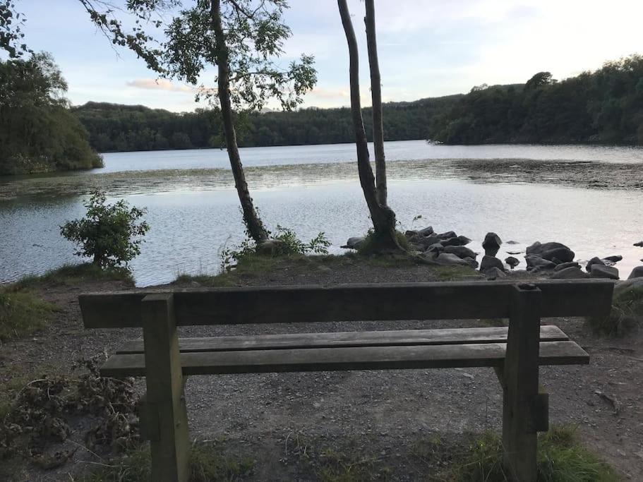 Forest View - Castlewellan, County Down 贝尔法斯特 外观 照片