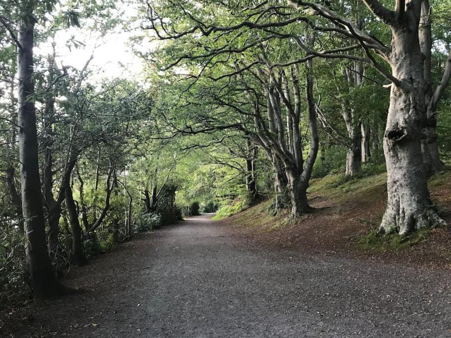 Forest View - Castlewellan, County Down 贝尔法斯特 外观 照片