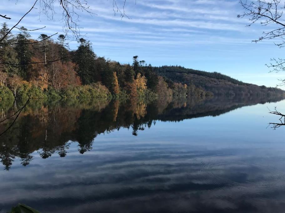 Forest View - Castlewellan, County Down 贝尔法斯特 外观 照片