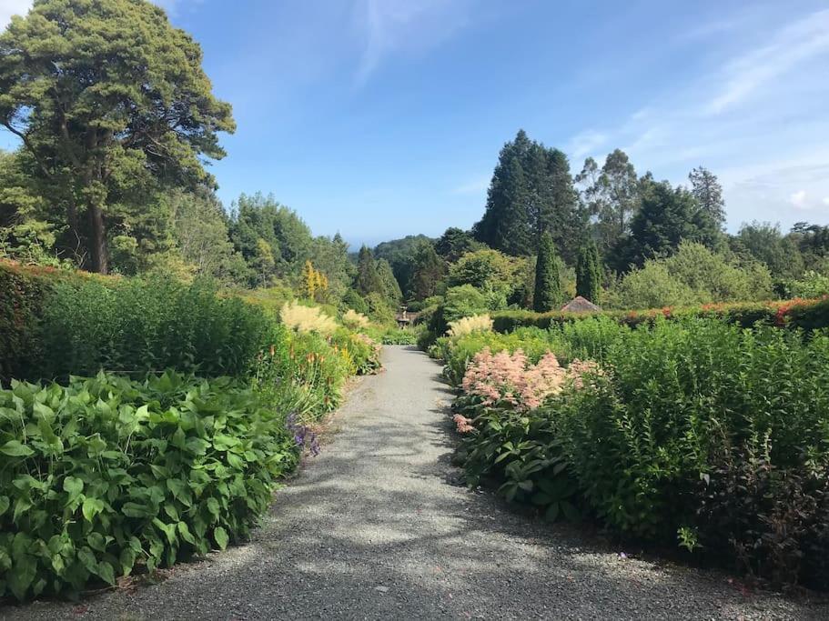 Forest View - Castlewellan, County Down 贝尔法斯特 外观 照片