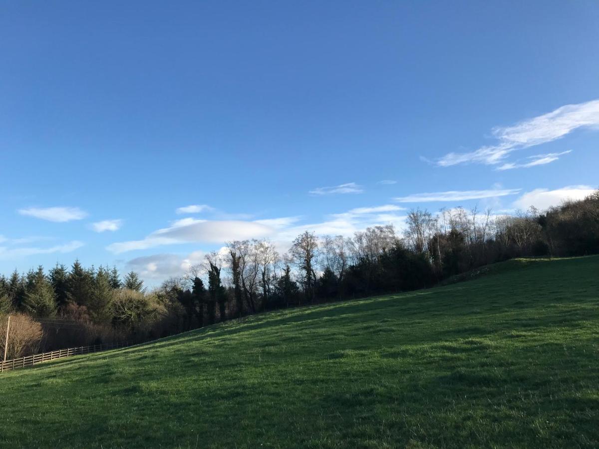 Forest View - Castlewellan, County Down 贝尔法斯特 外观 照片